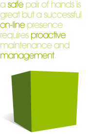 Web Management Bradford